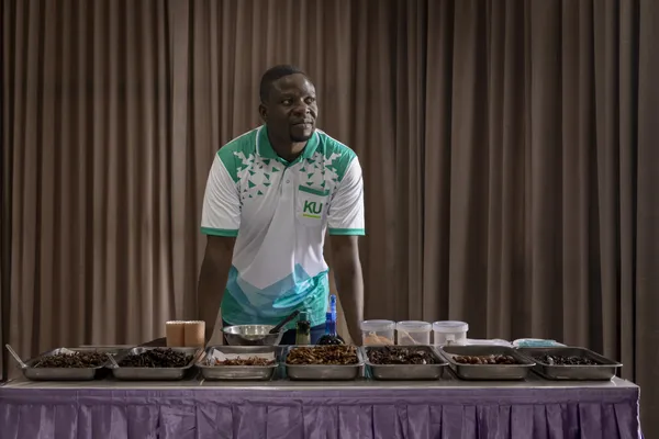 Insects To Feed The Word. thumbnail