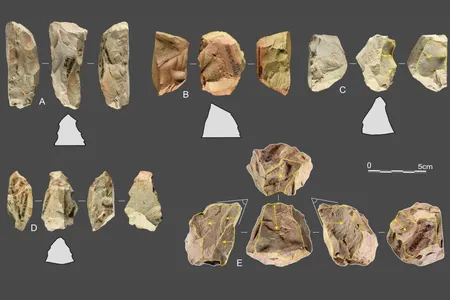 The Quina technology discovered in East Asia was a set of stone tools for making other tools. Prehistoric sites in Europe that host similar tools are associated with Neanderthals.
