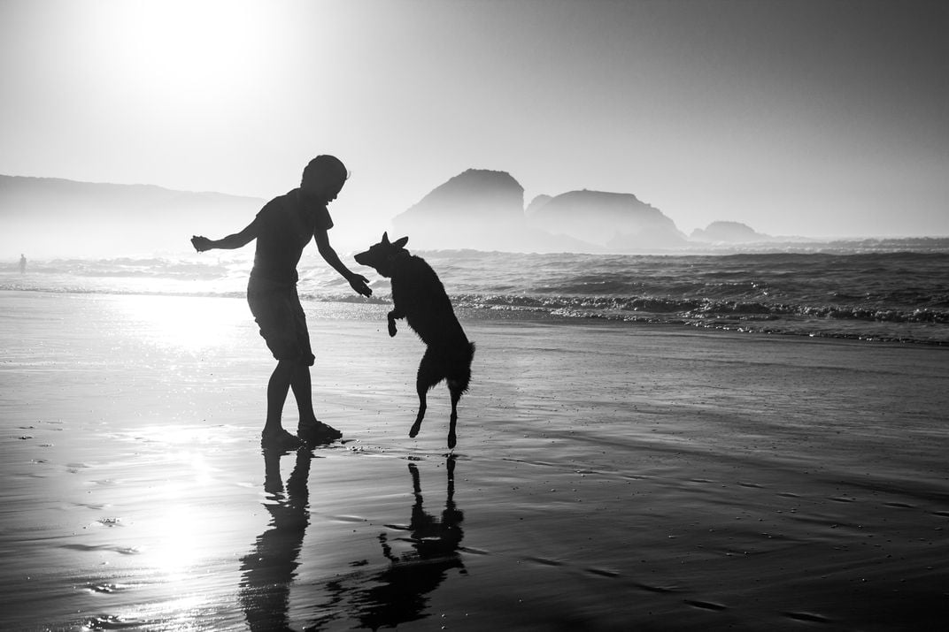 girl-s-best-friend-my-friend-and-her-dog-playing-on-the-beach