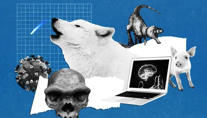 The Ten Most Significant Science Stories of 2025, From Medical Breakthroughs to an Interstellar Visitor