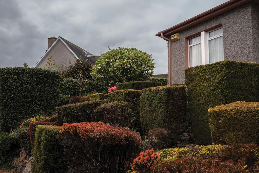A selection of hedge topiary