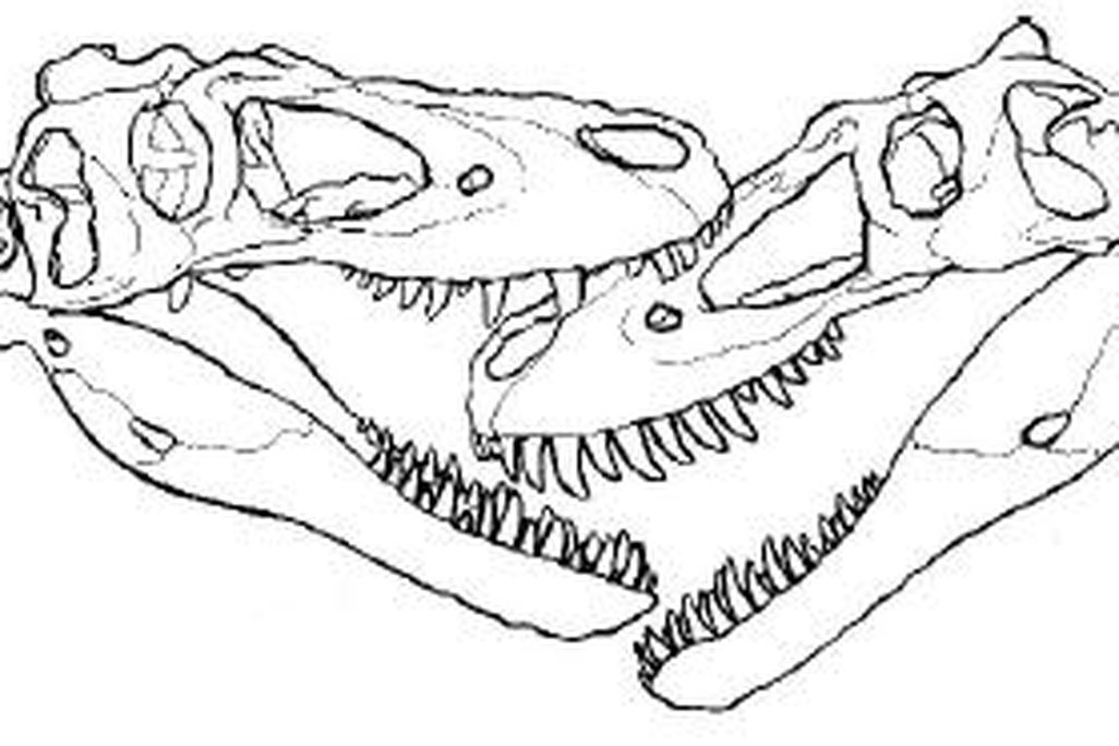 20110520083155jane-tyrannosaur-face-bite.jpg