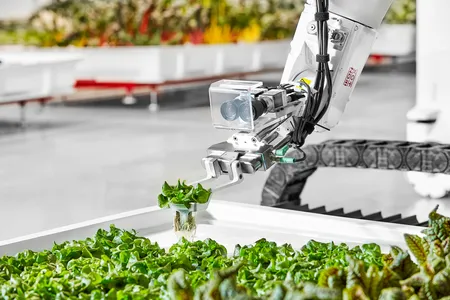 A robotic arm performs a transplant operation.
