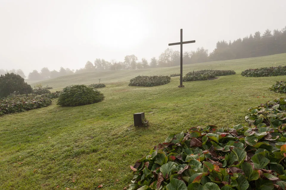 cross
