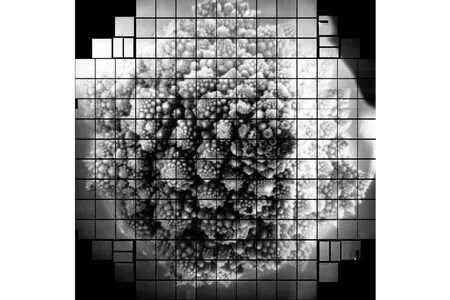 A lower resolution copy of a 3,200 megapixel image of Romanesco broccoli. The photo was taken by a camera being built to help the Vera Rubin Observatory's telescope study space.
