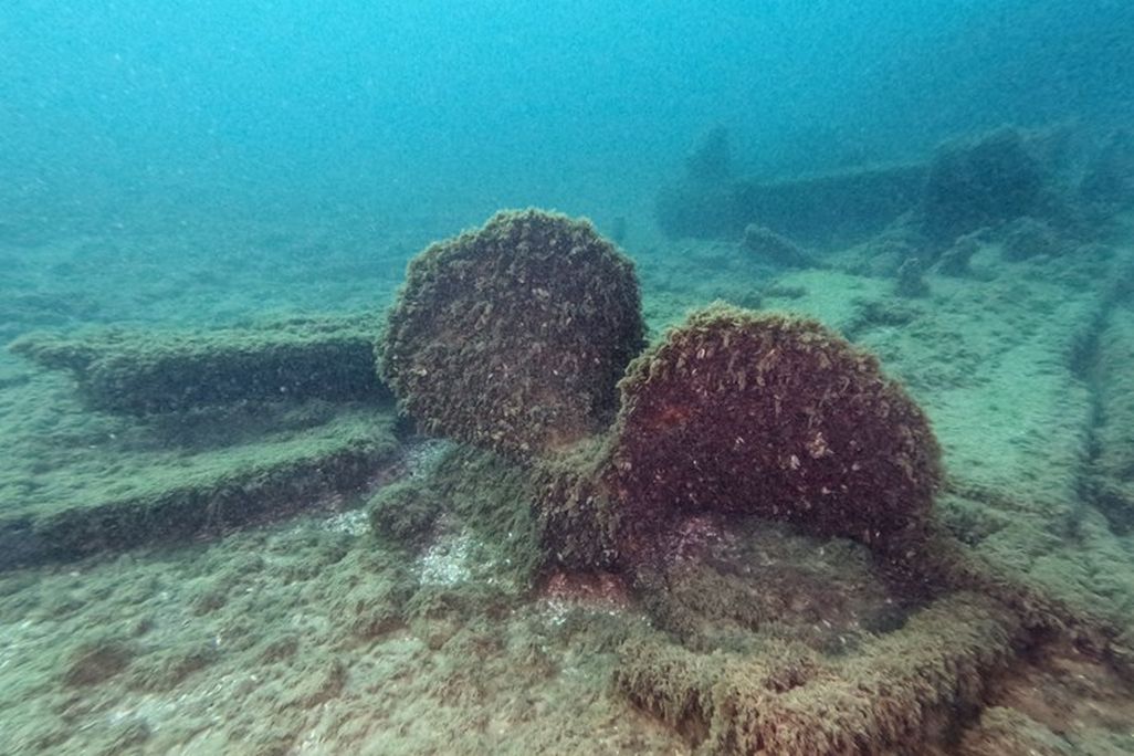 Equipment covered in fuzzy algae under water