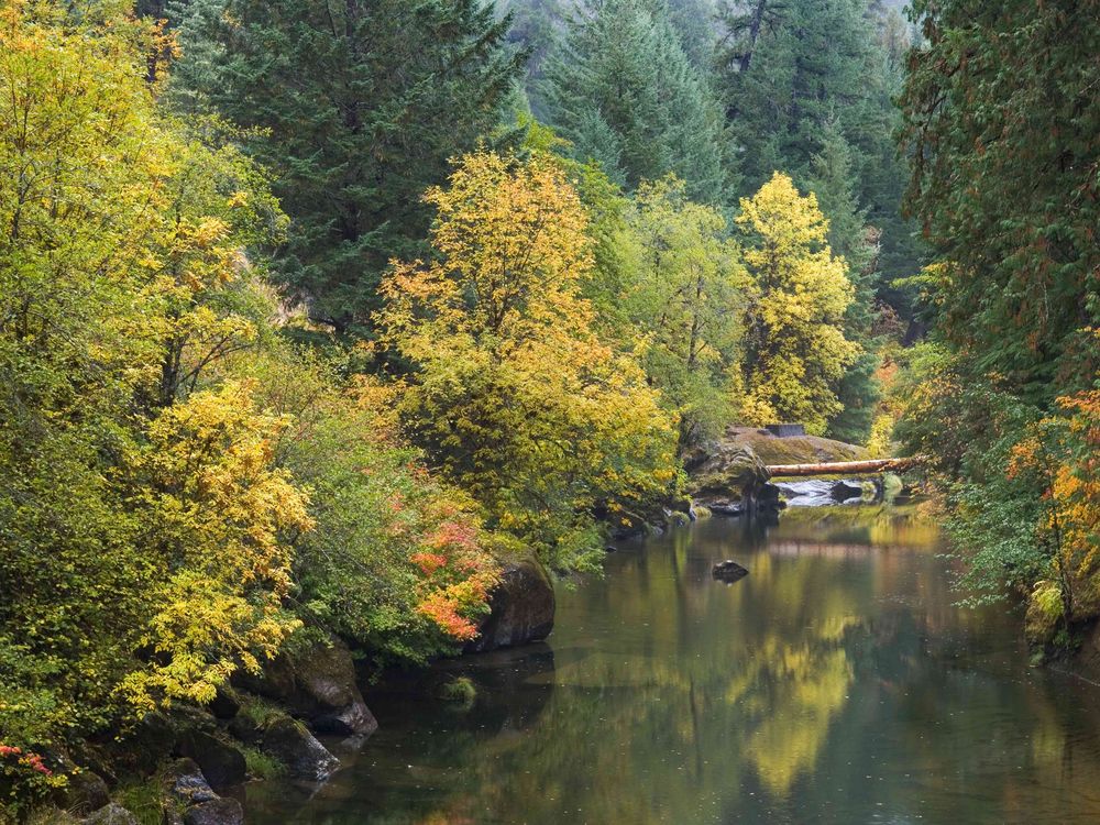 Umpqua National Forest