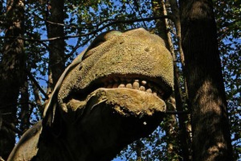 20110520083133durham-brontosaurus-head-300x228.jpg