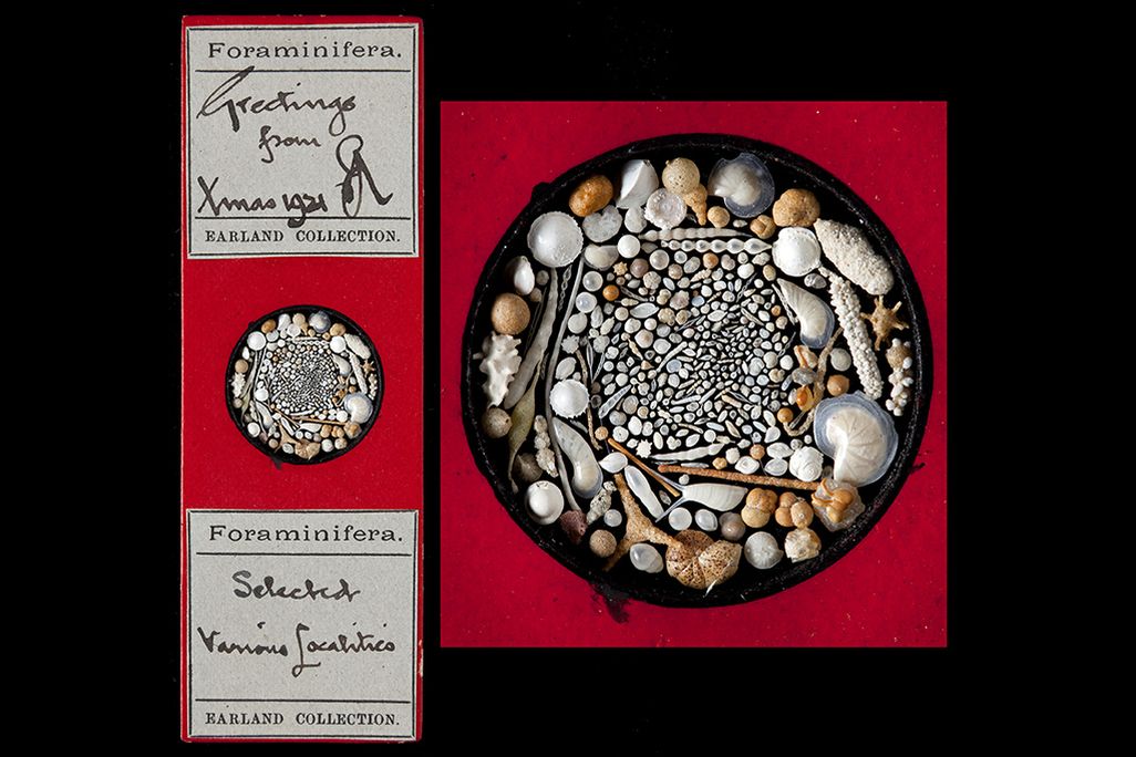 red Christmas fossil card 1921