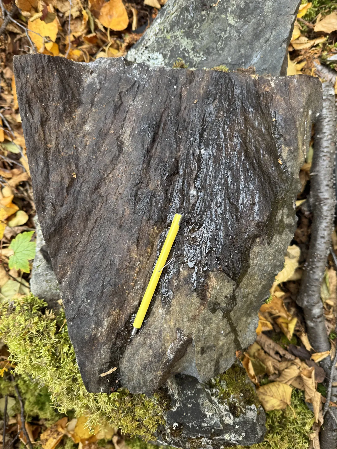 a rock with a yellow tool