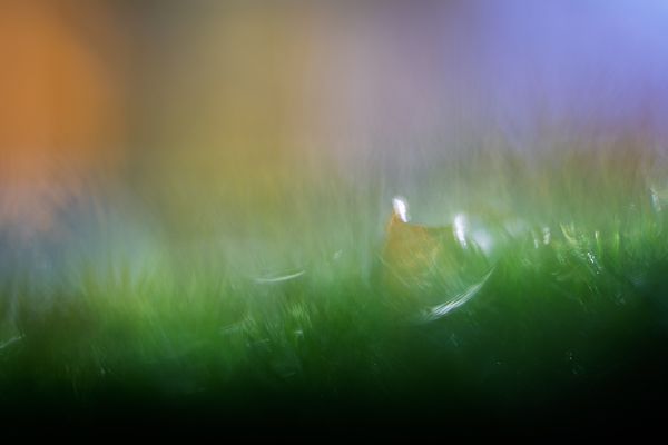 Mette Klint Artistic 3-3 thumbnail