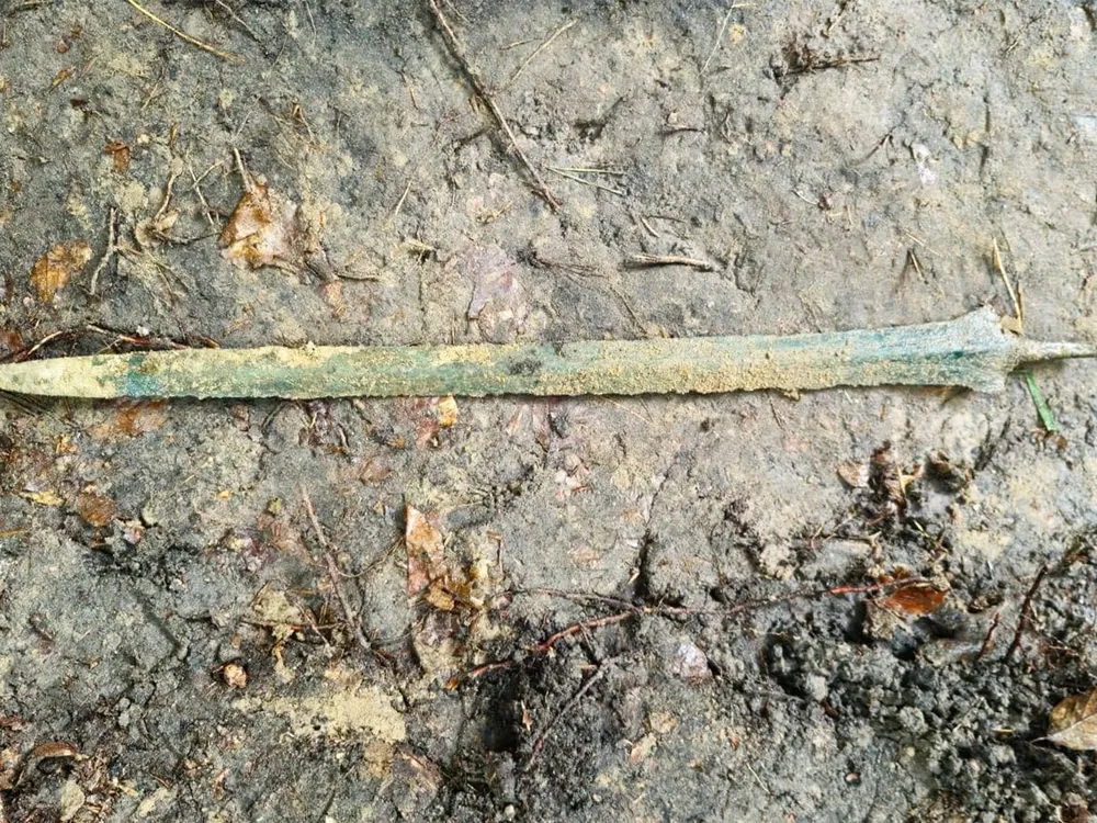 A Man Unearthed a Mysterious Metal Object Sticking Straight Up From the Ground. It Turned Out to Be a 2,700-Year-Old Sword image