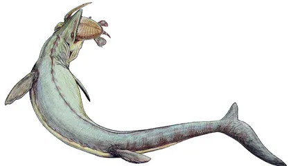 Giant Sea Lizards Ruled the Waves While T. Rex Roamed on Land