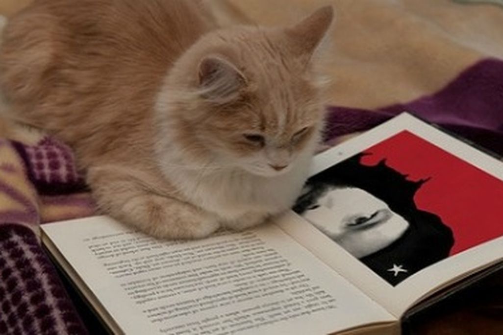 Do you ever peek at the end of a book?