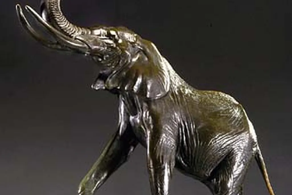 elephant_eli_harvey.jpg