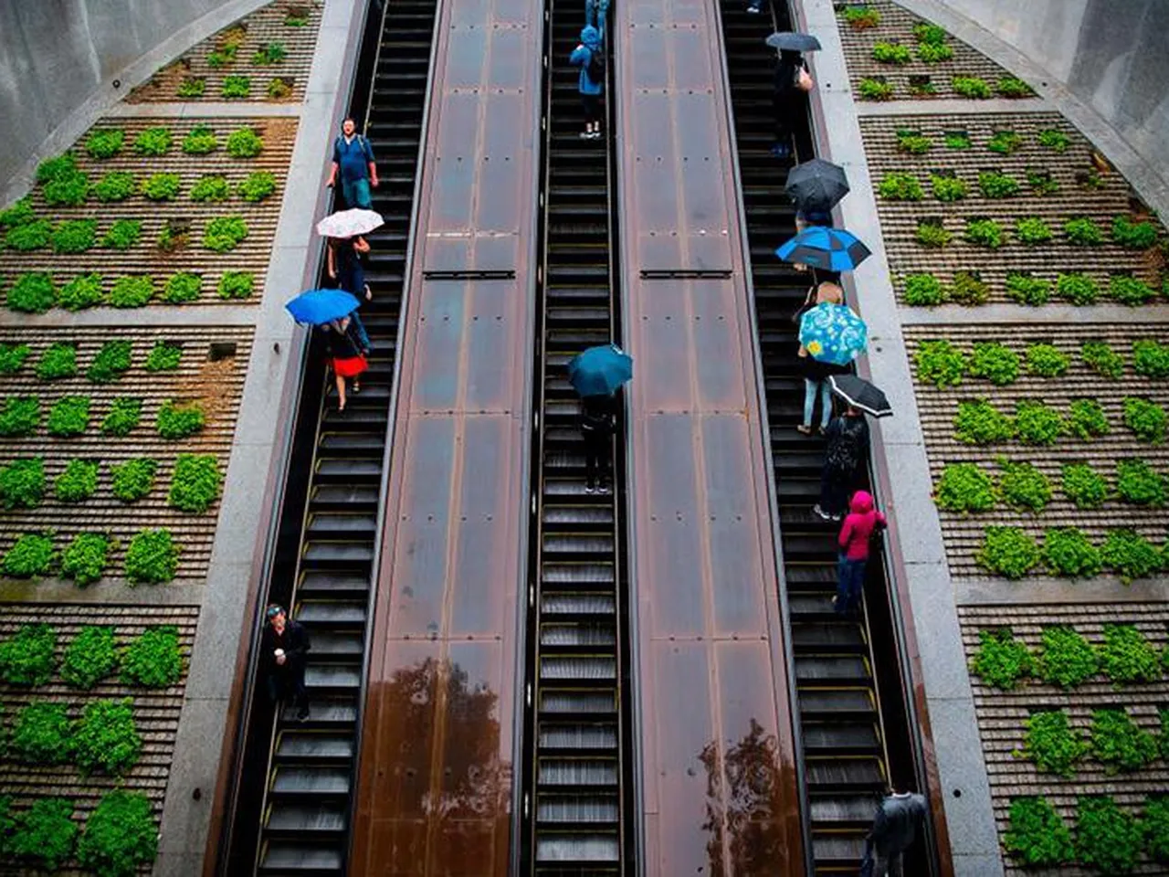How the Escalator Forever Changed Our Sense of Space