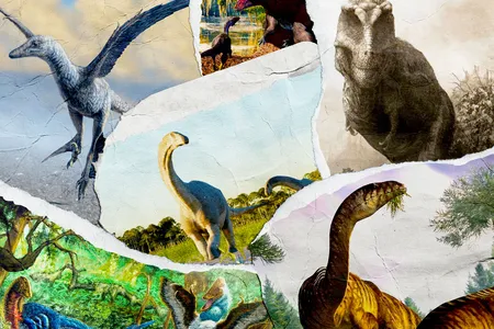 Paleontologists made discoveries about a wide variety of dinosaurs over the past 12 months.