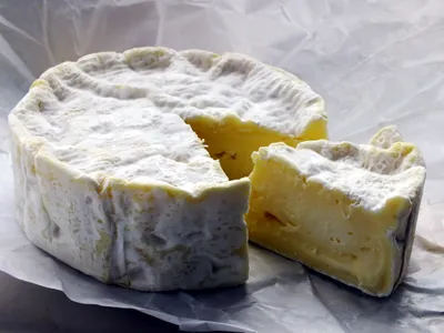 Camembert and other French cheeses may eventually disappear.
