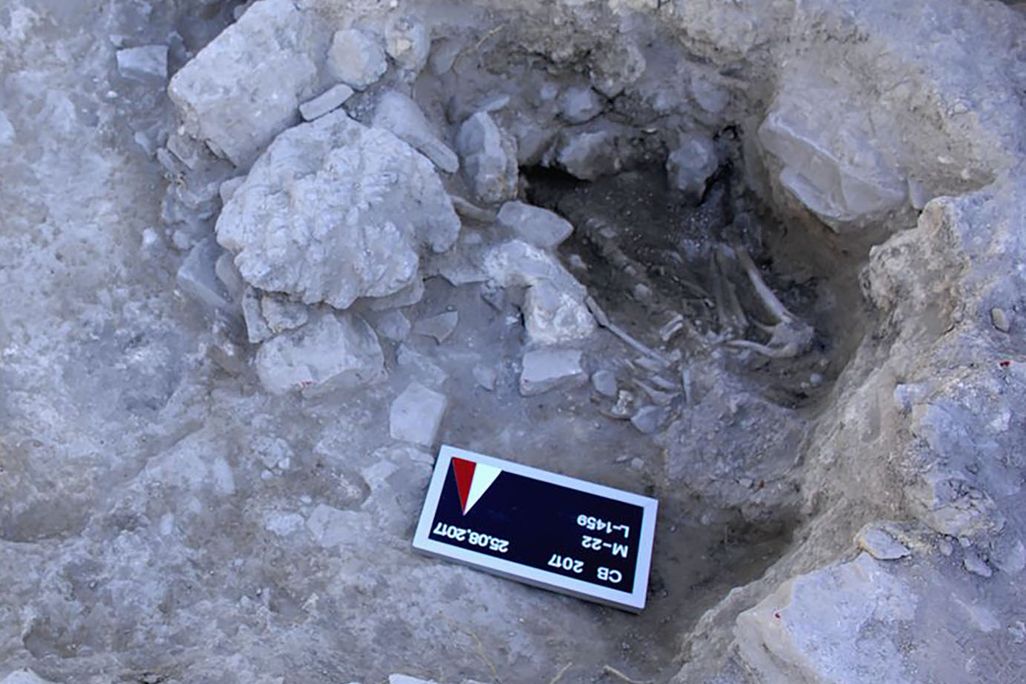 overview of skeleton half unearthed at dig site