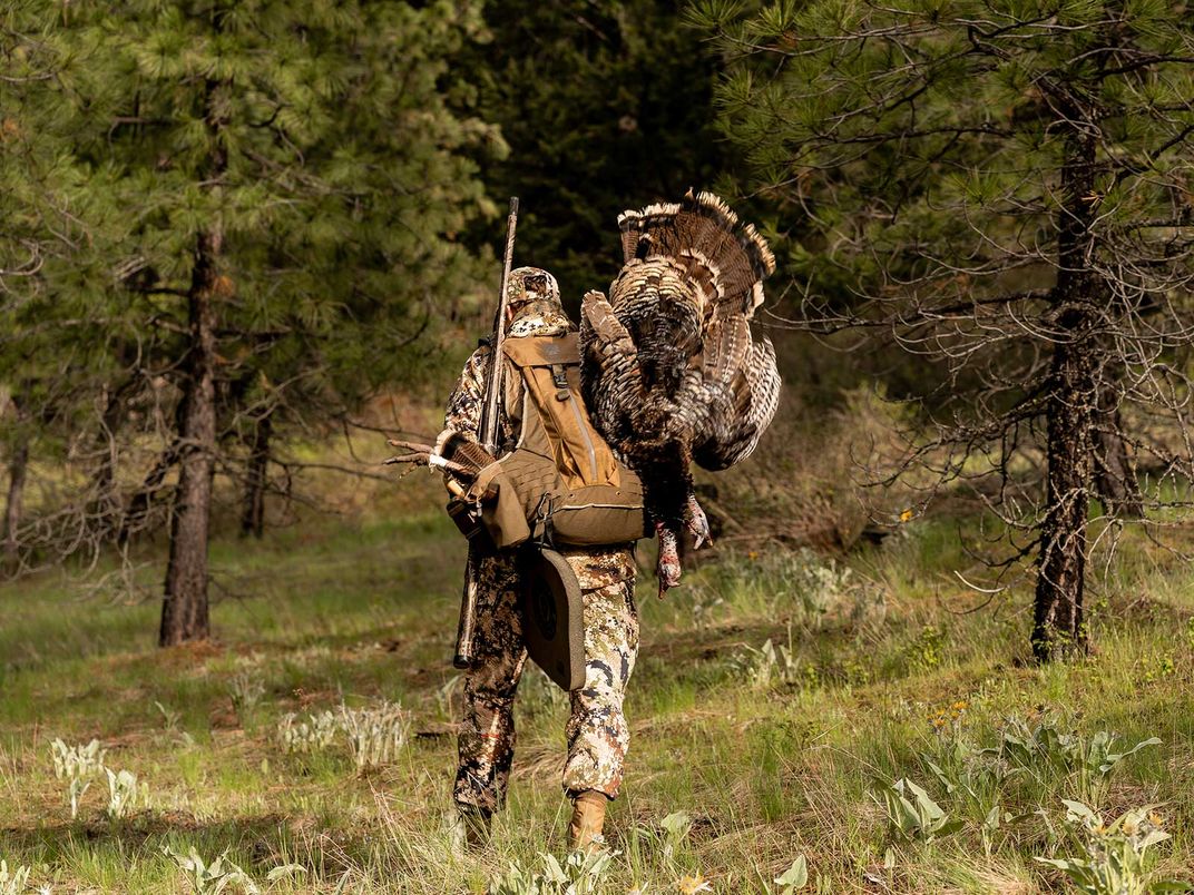 Hunter With Turkey