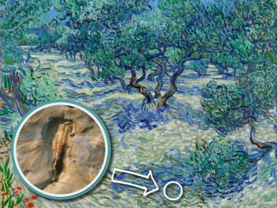 The insect, which is barely visible to the naked eye, was probably dead by the time it landed on van Gogh's canvas.