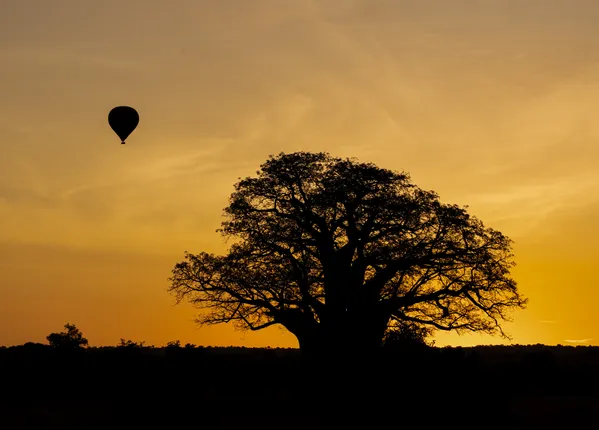 Balloon at Sunrise thumbnail