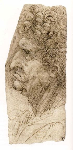 Leonardo da Vinci’s Head of a Man in Profile