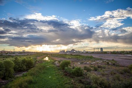 By the time the Salt River reaches downtown Phoenix, it is a river in name only. Some scientists think that is why a non-native plant, the salt cedar, is thriving while native flora are suffering.
