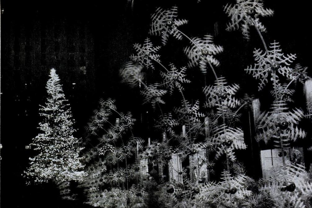 Rockefeller Center Tree 1949