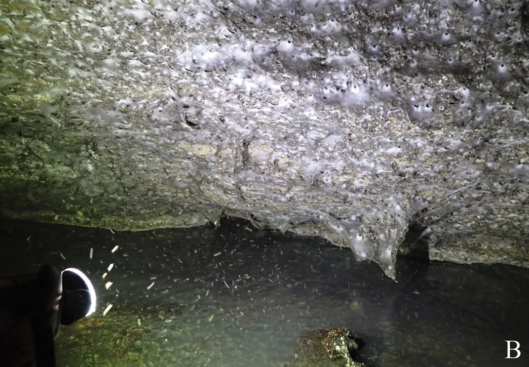 Enormous spiderweb in a cave