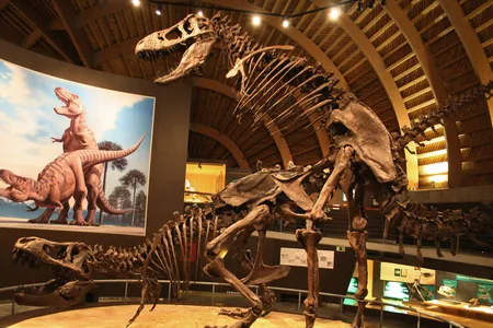 The Tyrannosaurus at Spain&rsquo;s Jurassic Museum of Asturias offer a speculative take on how dinosaurs mated.