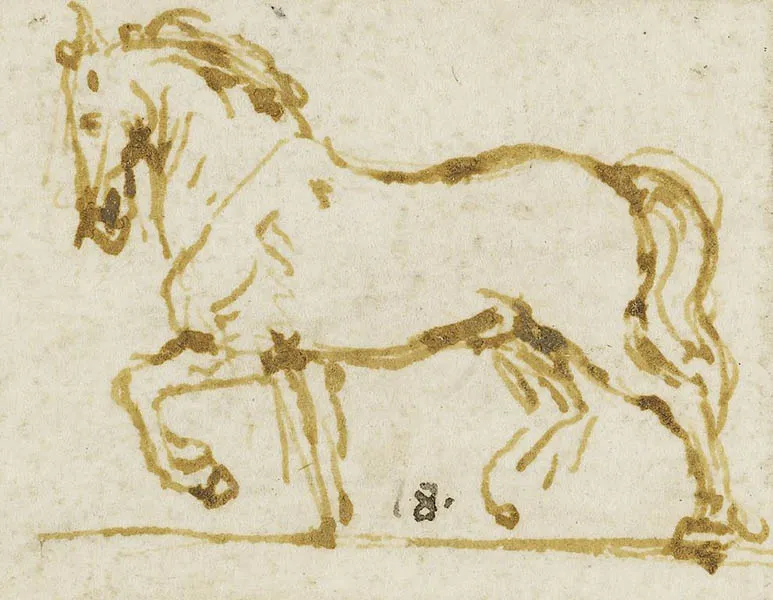 Horse