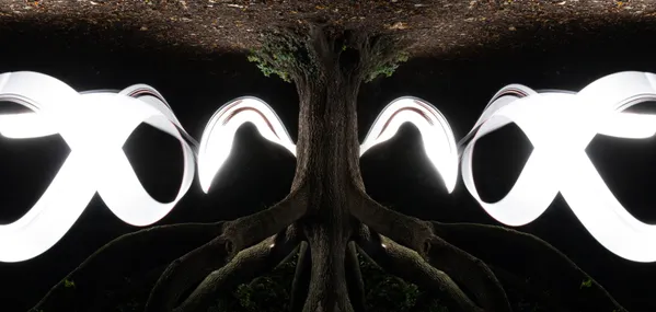 Temple of the Forest thumbnail