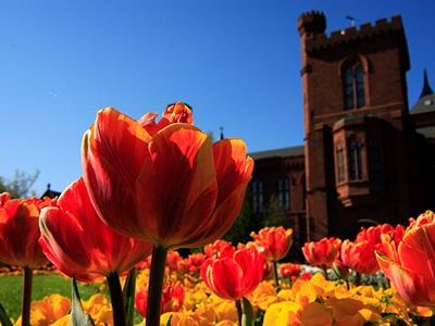 The Smithsonian Institution is taking many steps to ensure a greener future.