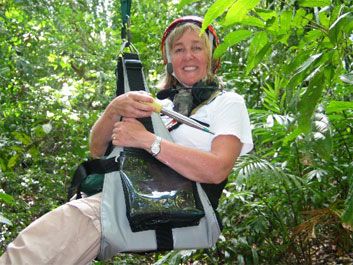"Canopy Meg," pioneer of forest ecology, recalls her adventures in her new book, It's a Jungle Up There.