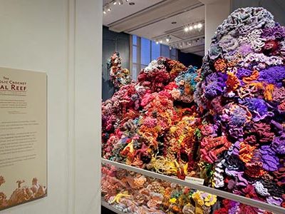 The "Hyperbolic Crochet Coral Reef" exhibit is now on view in Natural History's Sant Ocean Hall.