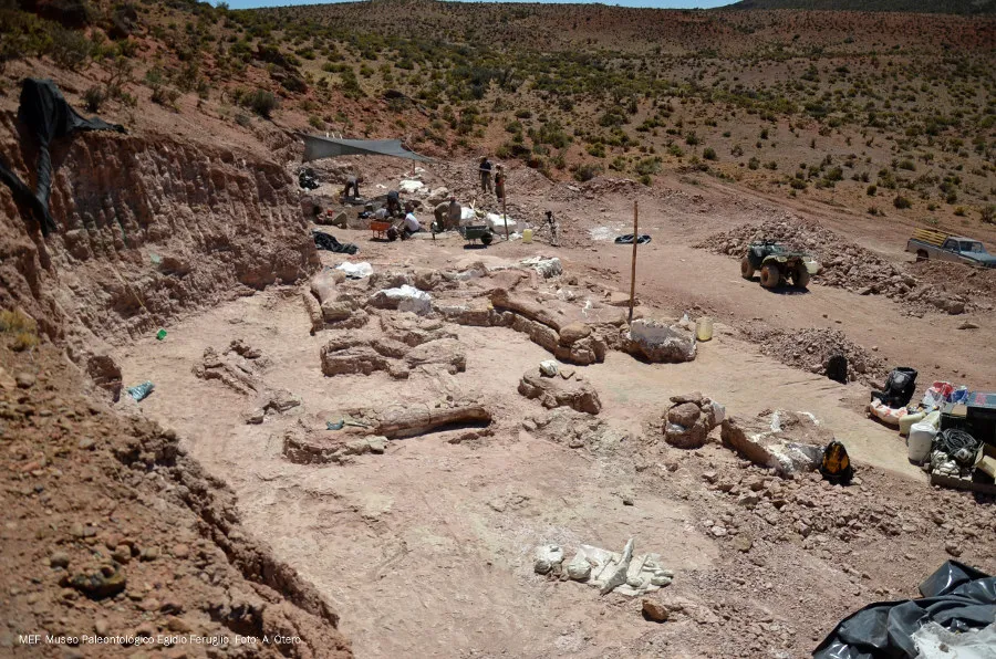 Dig site in Patagonia