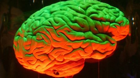 Will we see an artificial version?