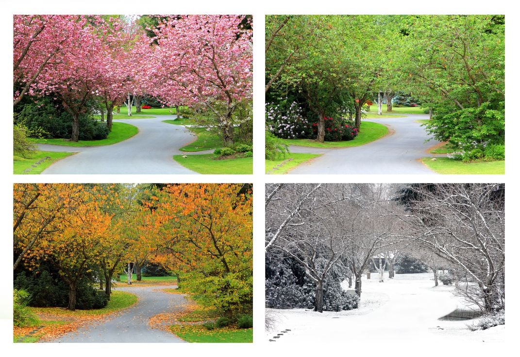 Image of the four seasons