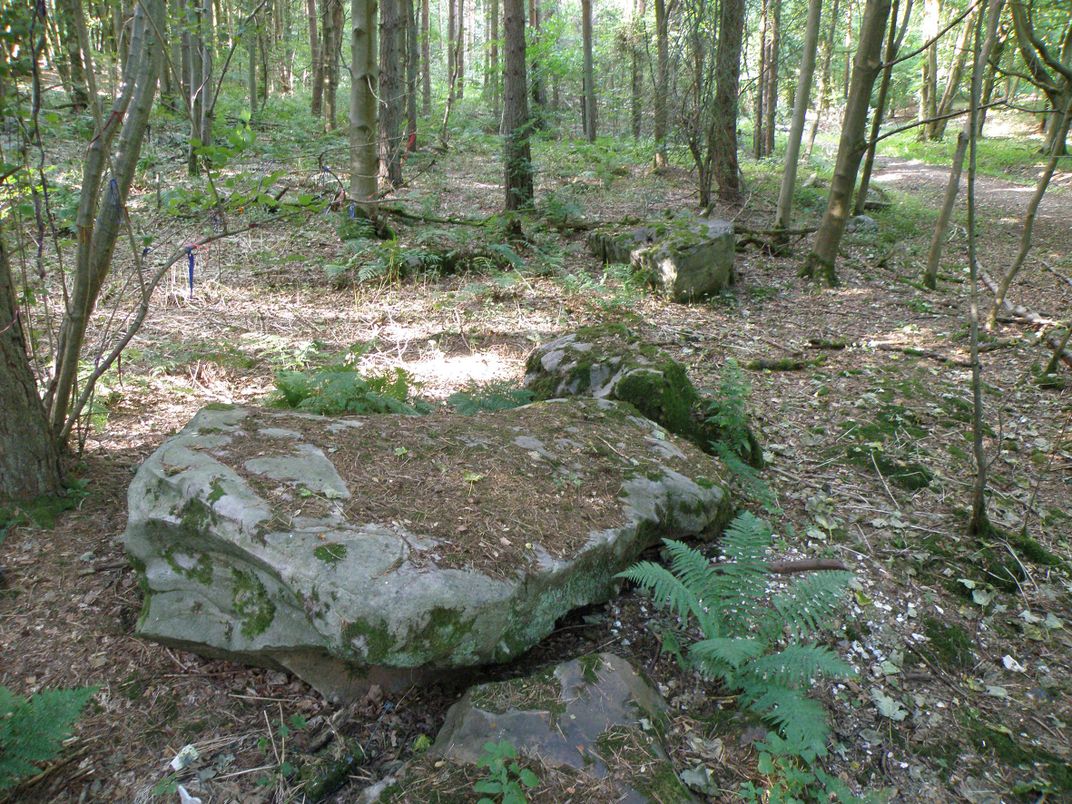 Sarsen stone in West Woods