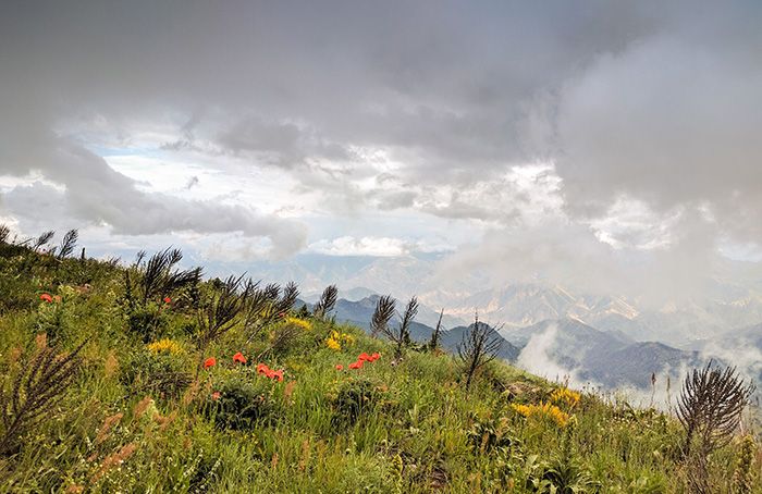 Transcaucasian Trail