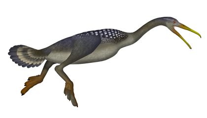 During the Age of Dinosaurs, Some Birds Sported Toothy Grins