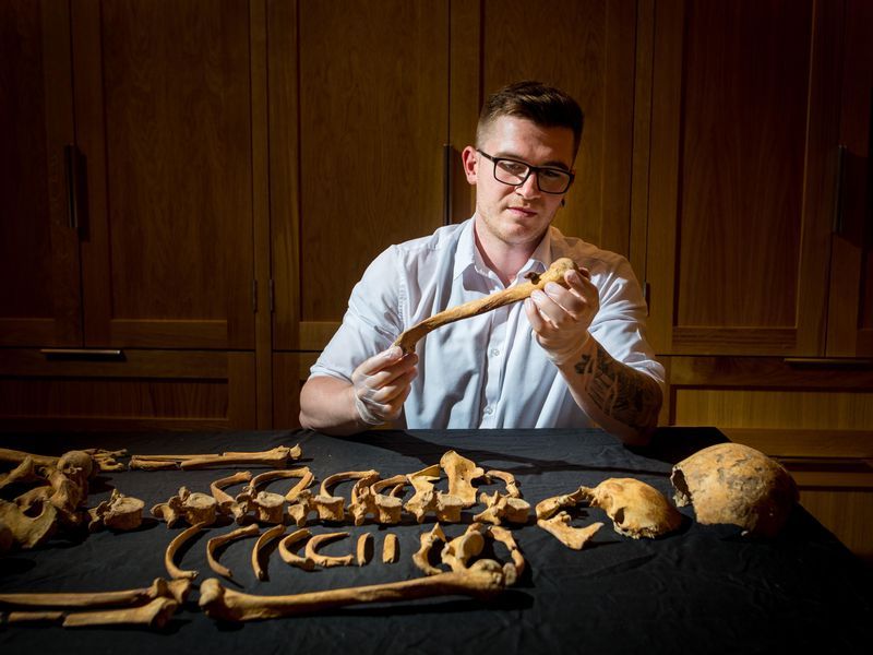 inspecting bones
