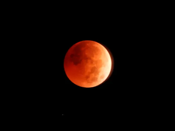 Beaver Total Eclipse red Moon thumbnail