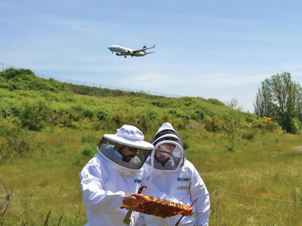 two beekeepers with plane overhead