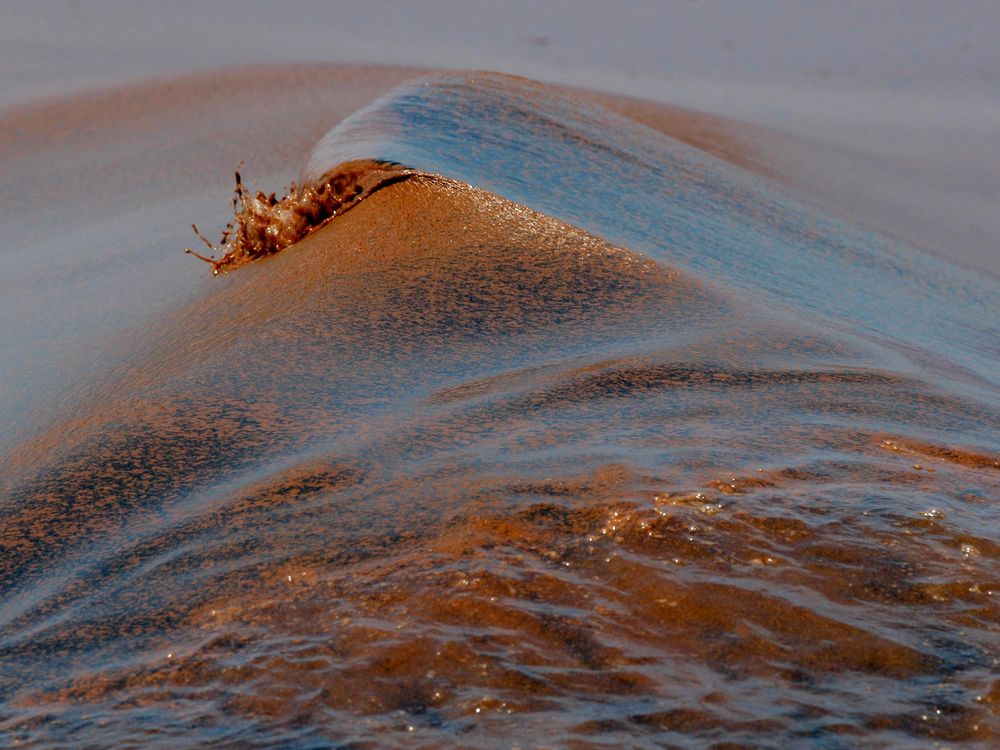 Five Things The Gulf Oil Spill Has Taught Us About the Ocean