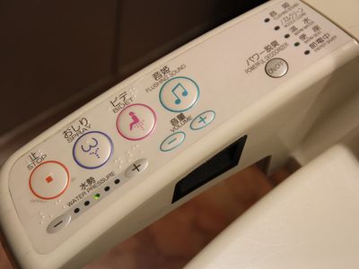 This Japanese toilet takes flushing to another level.