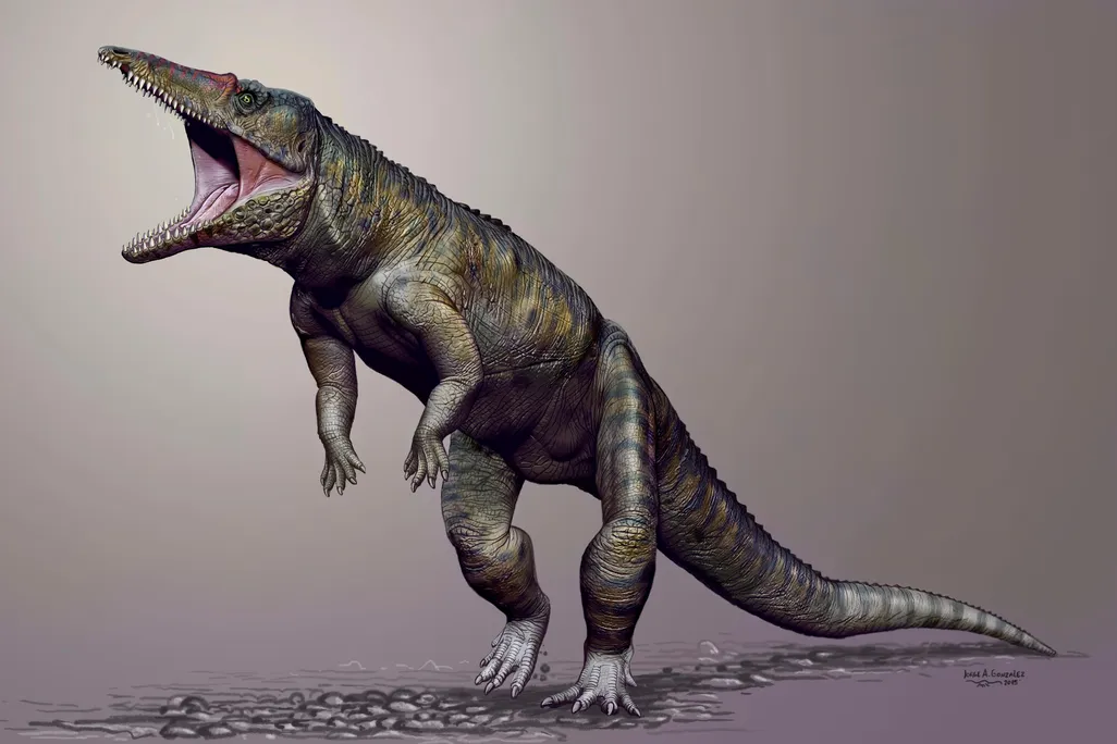 Croc
