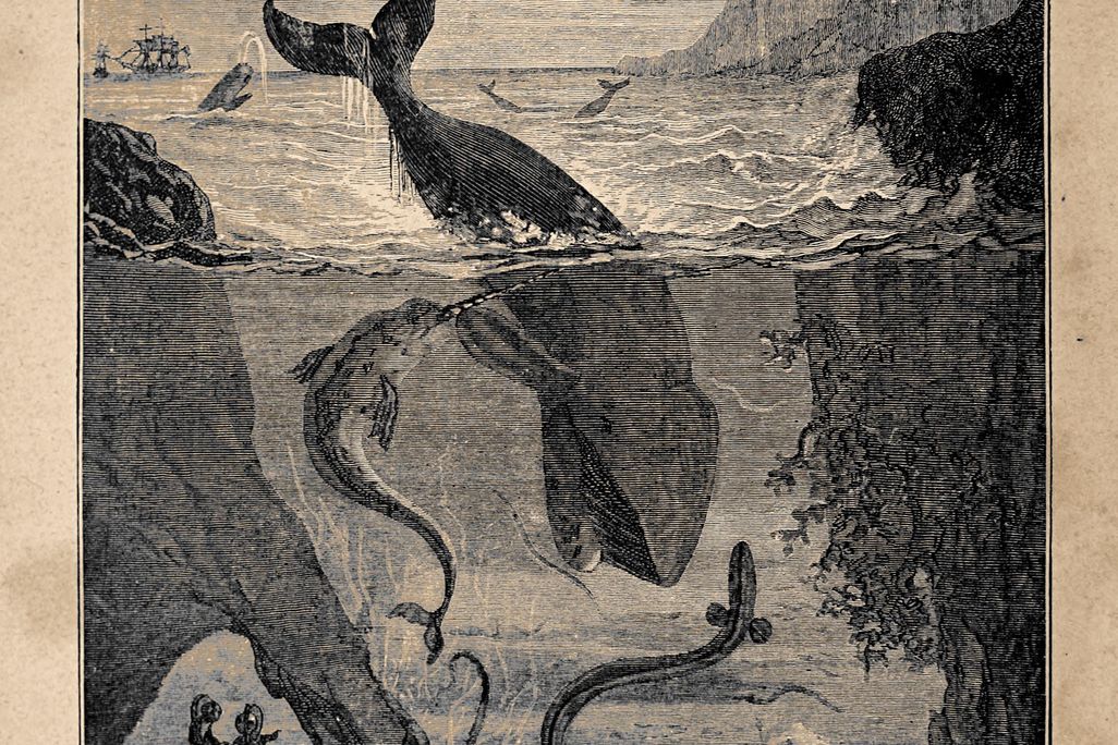 ノーチラス号　20,000 Leagues Under the Sea Excerpt from 20,000 Leagues Under the Sea