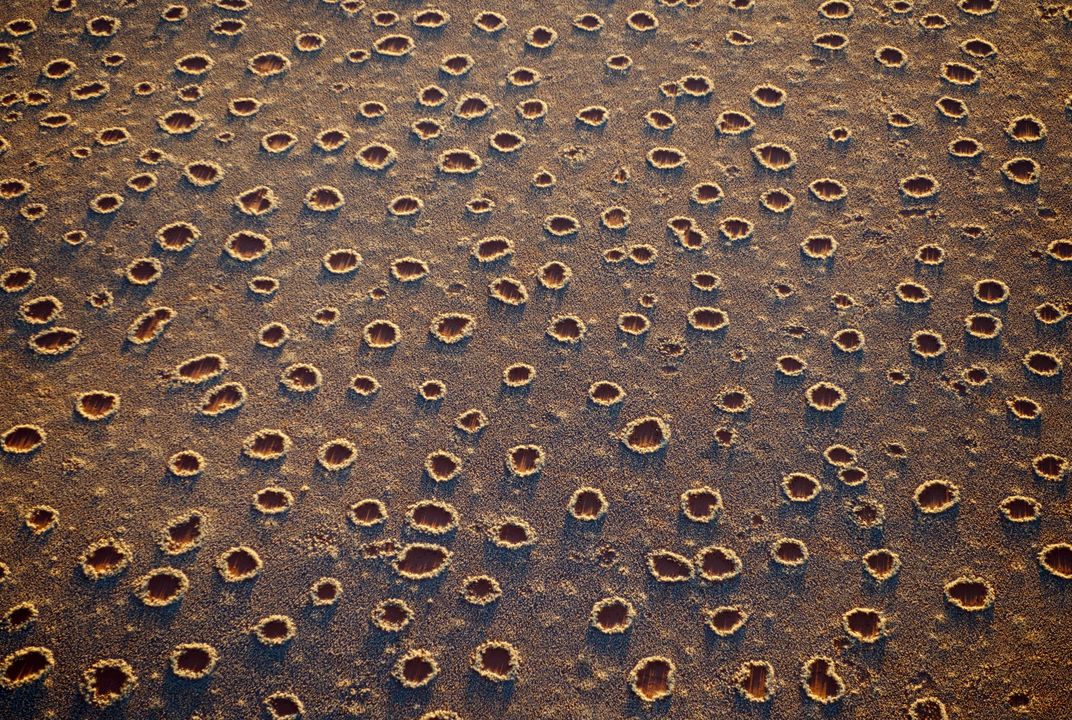 The secret of Namibia's 'fairy circles' may be explained at last, Biology